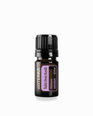 Bazylia azjatycka (Tulski)