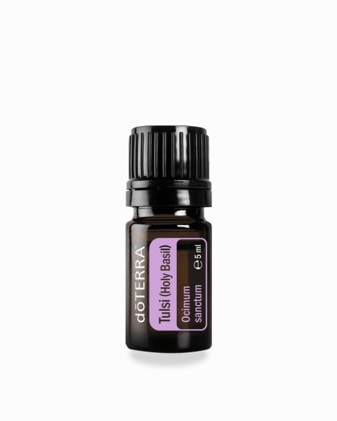 Bazylia azjatycka (Tulski)