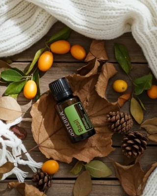 Bazylia – olejek eteryczny doTERRA