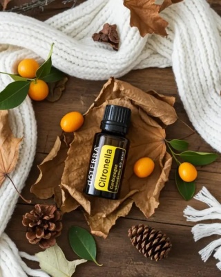 Citronella – olejek eteryczny doTERRA