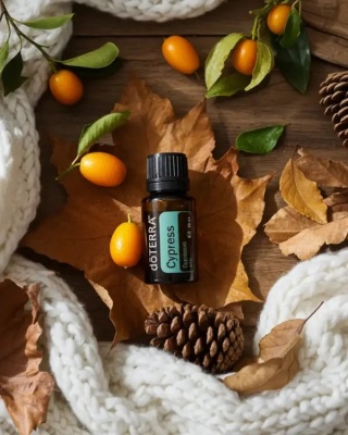 Cyprys – olejek eteryczny doTERRA