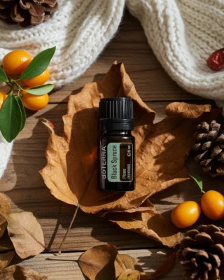 Czarny świerk – olejek eteryczny doTERRA