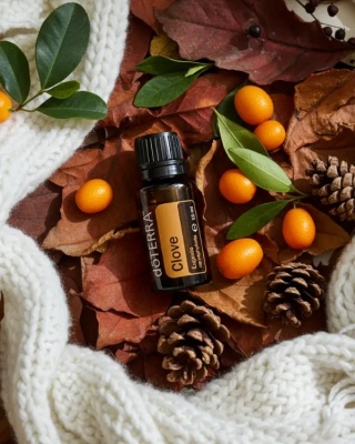 Goździk – olejek eteryczny doTERRA