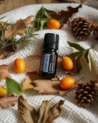 Jałowiec – olejek eteryczny doTERRA