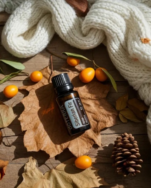 Jodła syberyjska – olejek eteryczny doTERRA