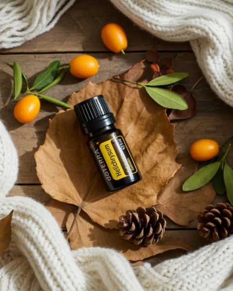 Kocanka włoska – olejek eteryczny doTERRA