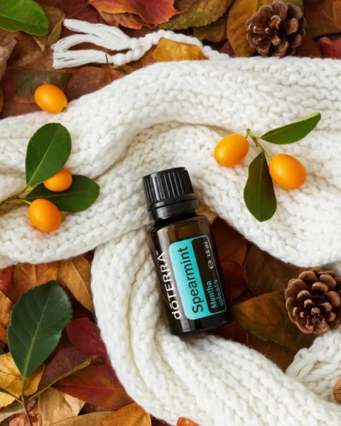 Mięta zielona (Kędzierzawa) – olejek eteryczny doTERRA