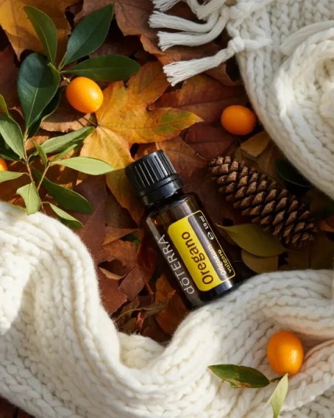 Oregano – olejek eteryczny doTERRA