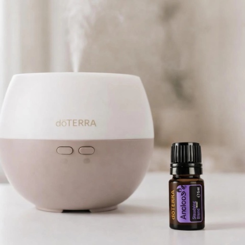 Anchor – mieszanka doTERRA