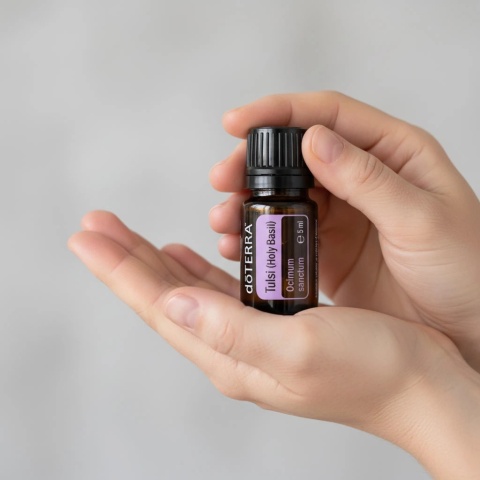 Bazylia azjatycka (Tulsi) – olejek eteryczny doTERRA
