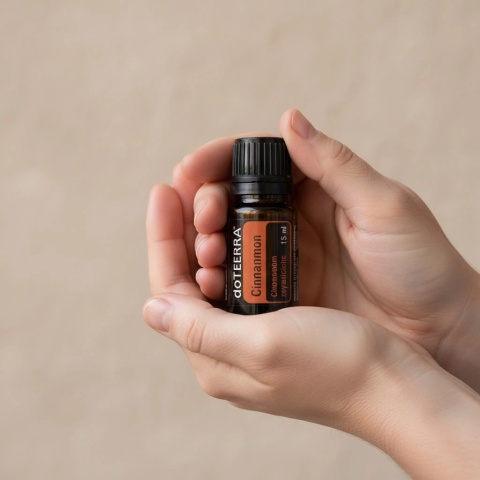 Cynamon – olejek eteryczny doTERRA