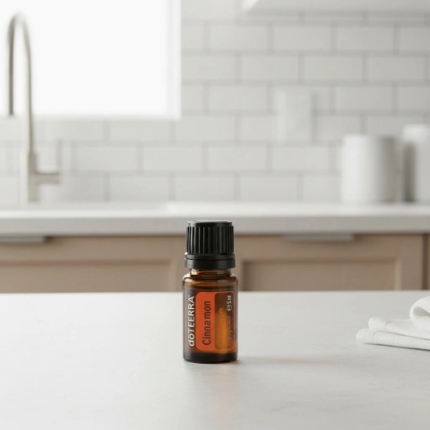 Cynamon – olejek eteryczny doTERRA