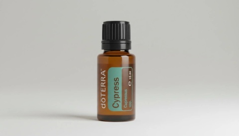 Cyprys – olejek eteryczny doTERRA