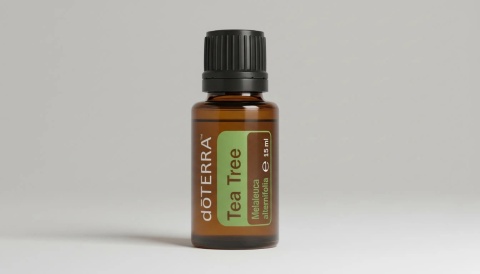 Drzewo herbaciane – olejek eteryczny doTERRA