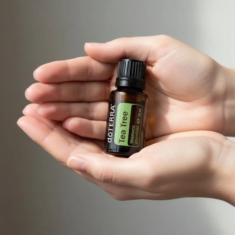 Drzewo herbaciane – olejek eteryczny doTERRA