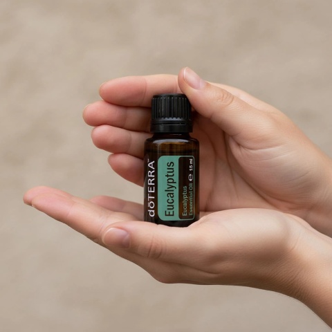 Eukaliptus – olejek eteryczny doTERRA