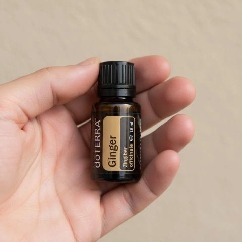 Imbir – olejek eteryczny doTERRA