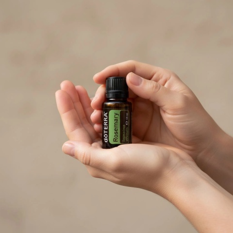 Rozmaryn – olejek eteryczny doTERRA