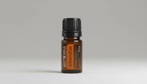 Żywotnik – olejek eteryczny doTERRA