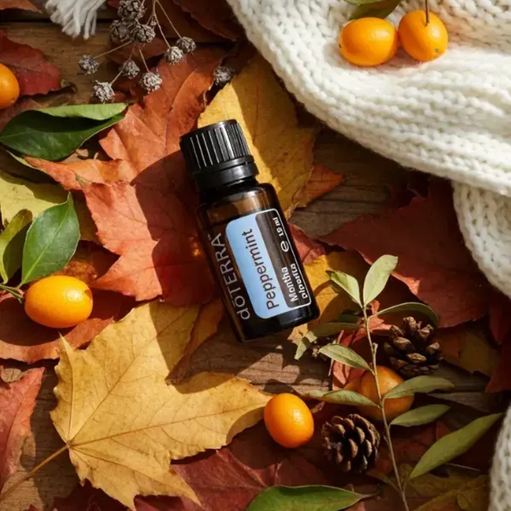 Olejek eteryczny Mięta Pieprzowa doTERRA na jesiennych liściach klonu z kumkwatami i szyszkami