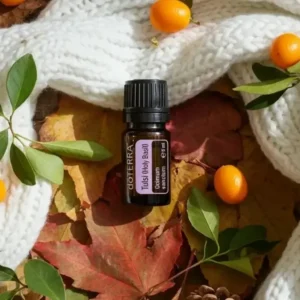 Bazylia Azjatycka (tulsi) doTERRA na jesiennej dekoracji z liśćmi i szyszkami