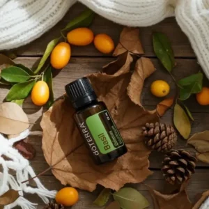 Bazylia doTERRA na jesiennej dekoracji z liśćmi i szyszkami