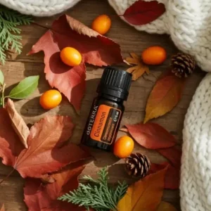 Cynamon doTERRA na jesiennej dekoracji z liśćmi i szyszkami