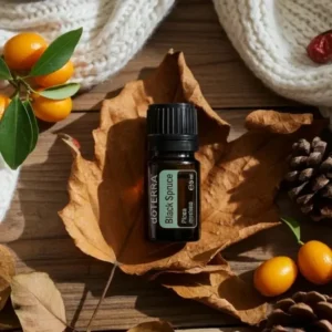 Czarny Świerk doTERRA na jesiennej dekoracji z liśćmi i szyszkami