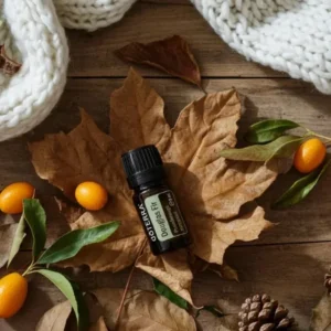 Daglezja doTERRA na jesiennej dekoracji z liśćmi i szyszkami
