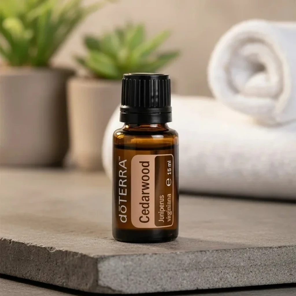 Drzewo Cedrowe doTERRA na kamiennej podstawce obok złożonych ręczników spa