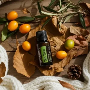 Drzewo Herbaciane doTERRA na jesiennej dekoracji z liśćmi i szyszkami