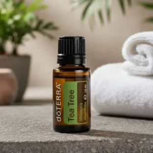 Drzewo Herbaciane doTERRA na kamiennej podstawce obok złożonych ręczników spa