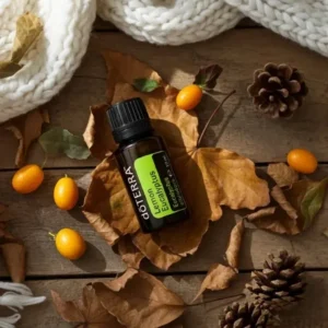 Eukaliptus Cytrynowy doTERRA na jesiennej dekoracji z liśćmi i szyszkami