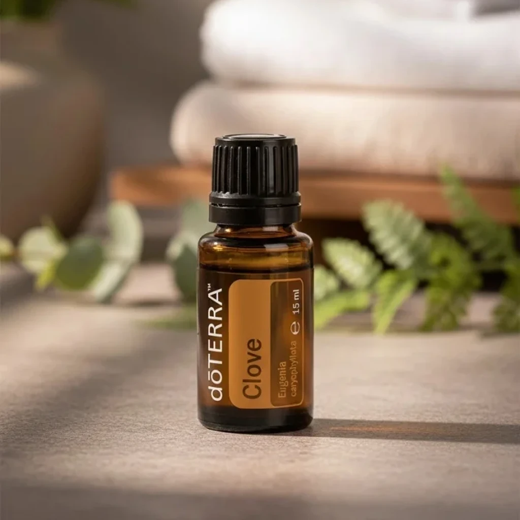 Goździk doTERRA na kamiennej podstawce obok złożonych ręczników spa