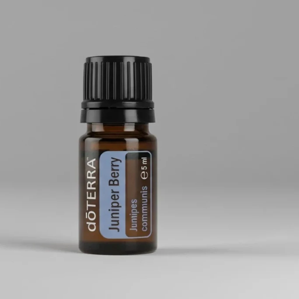 Jałowiec doTERRA na szarym tle – ujęcie produktowe