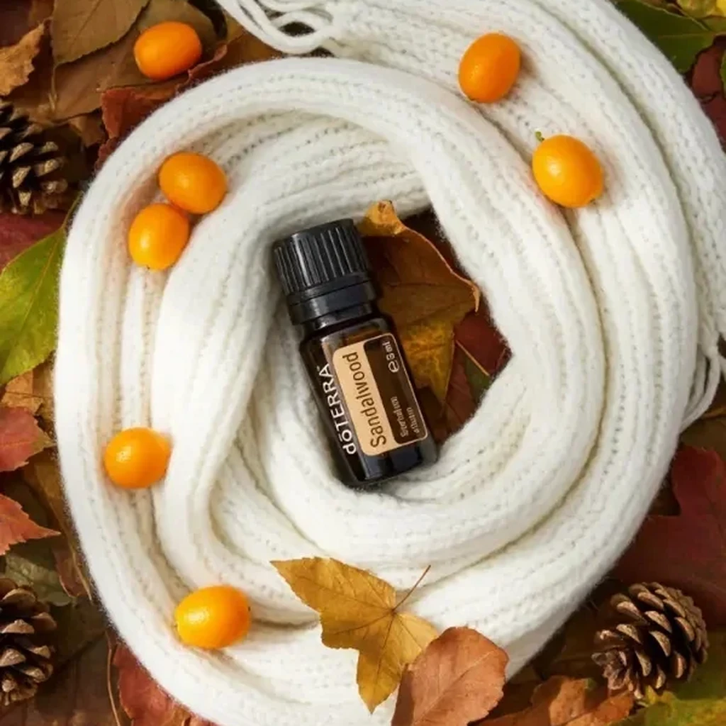 Sandałowiec doTERRA na jesiennej dekoracji z liśćmi i szyszkami