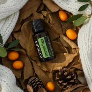 Szałwia Lawendolistna doTERRA na jesiennej dekoracji z liśćmi i szyszkami