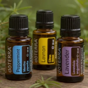 Zestaw Dla Początkujących: Lawenda, Cytryna, Mięta Pieprzowa doTERRA – zestaw olejków eterycznych w naturze