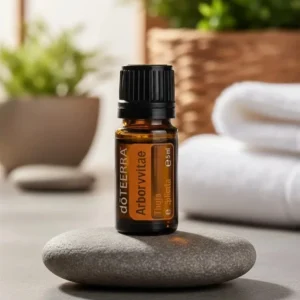 Żywotnik doTERRA na kamiennej podstawce obok złożonych ręczników spa
